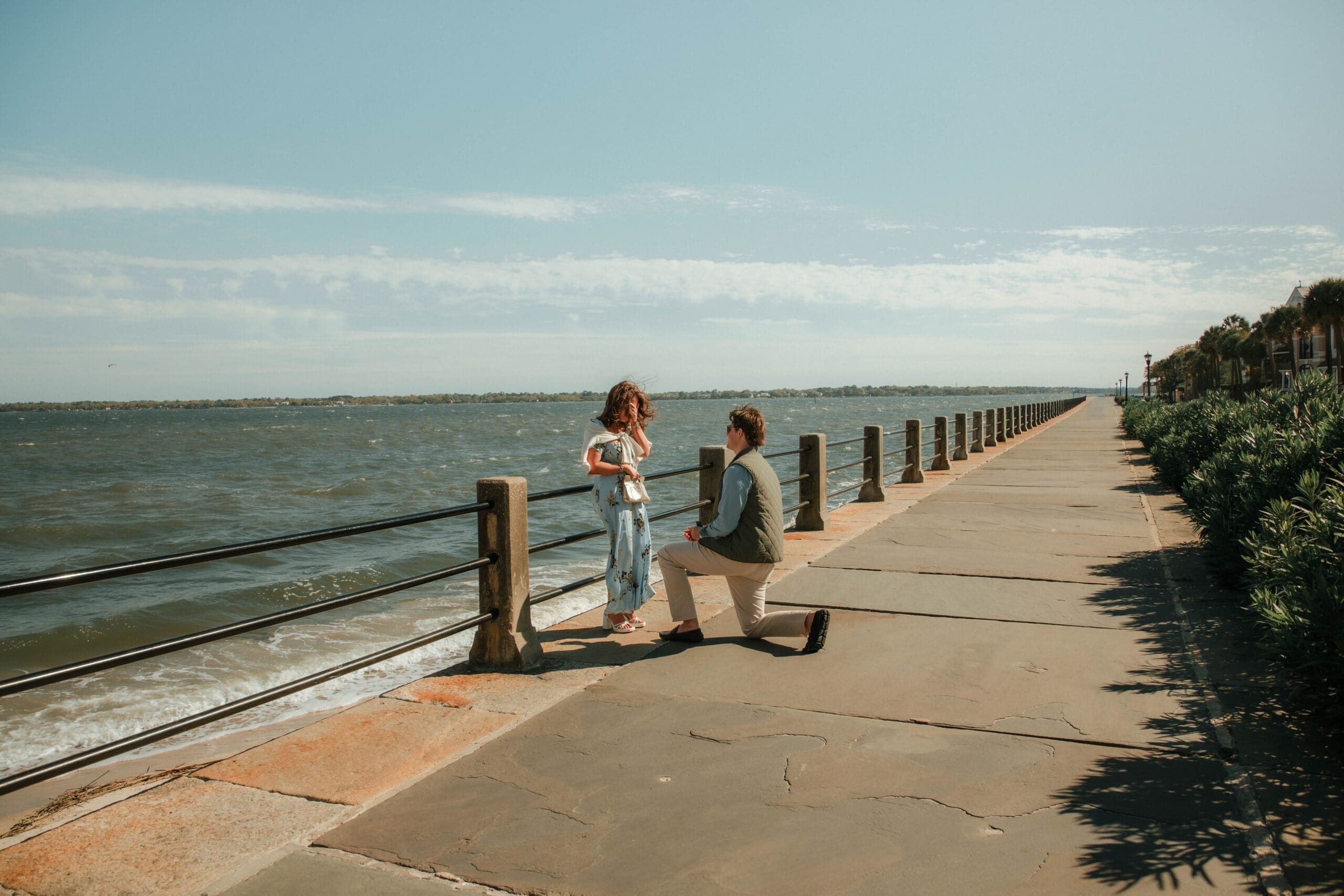 man proposing on charleston battery