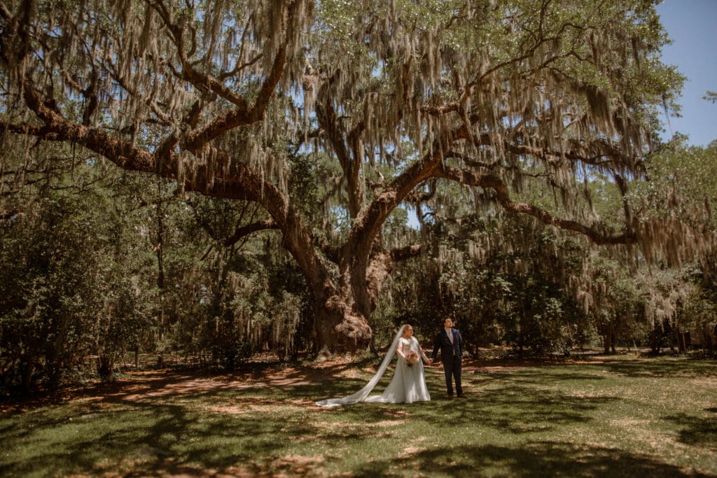 A wedding couple beneath sprawling oak trees draped in Spanish moss at Charles Towne Landing in Charleston.