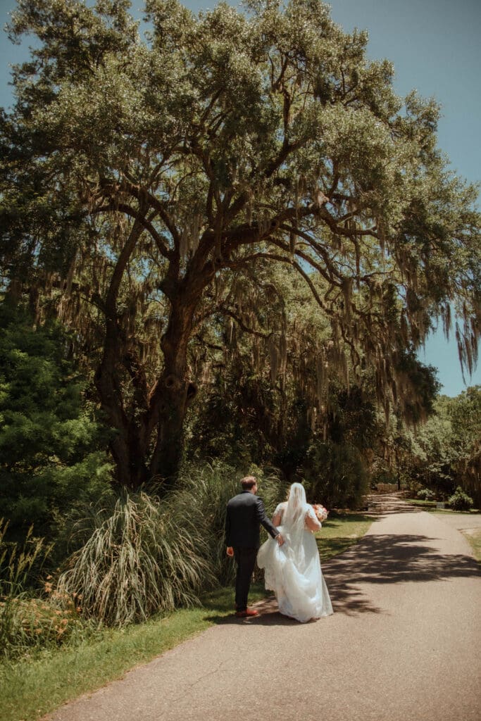 A newly married couple walking along a garden path beneath moss-covered oak trees at Charles Towne Landing.