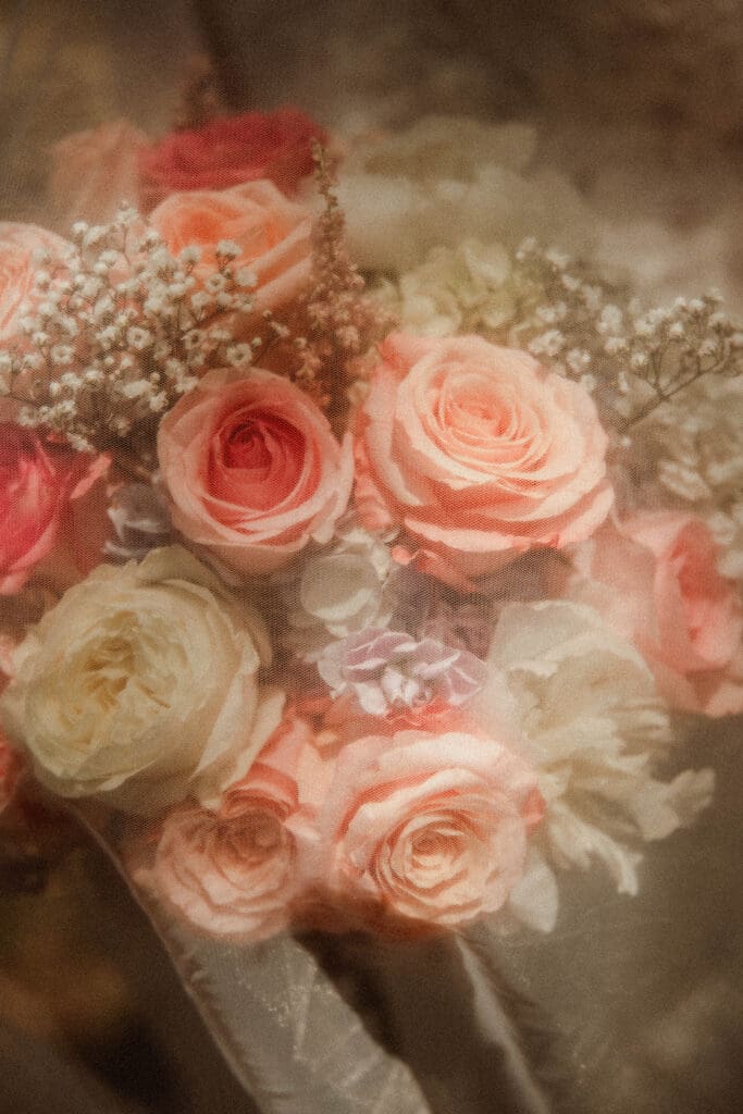 soft-focus close-up of pink and cream roses with baby’s breath in a bridal bouquet.